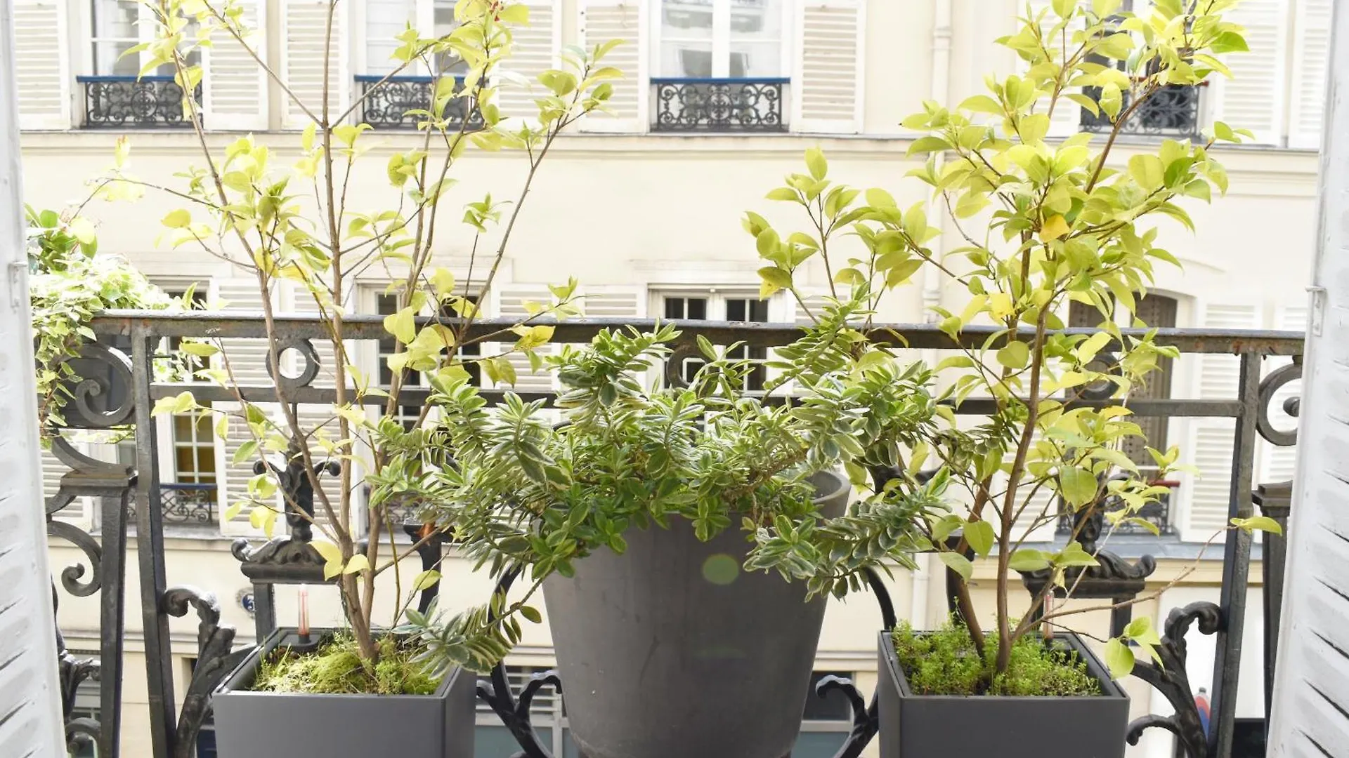 Montmartre Apartment Paris